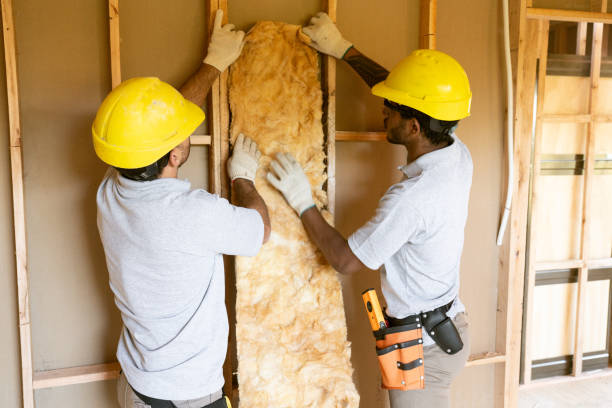 Best Best Insulation Companies  in USA