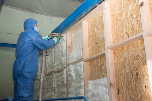 Best Local Insulation Services  in USA